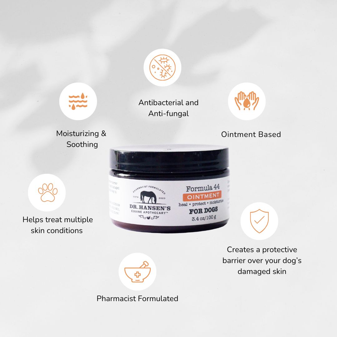 Formula 44 Ointment for Dogs - Equine Exchange Tack Shop