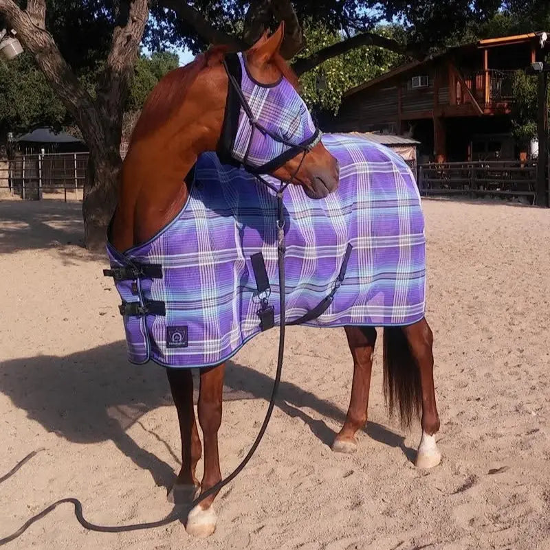 Clinician Rope Halter - Equine Exchange Tack Shop