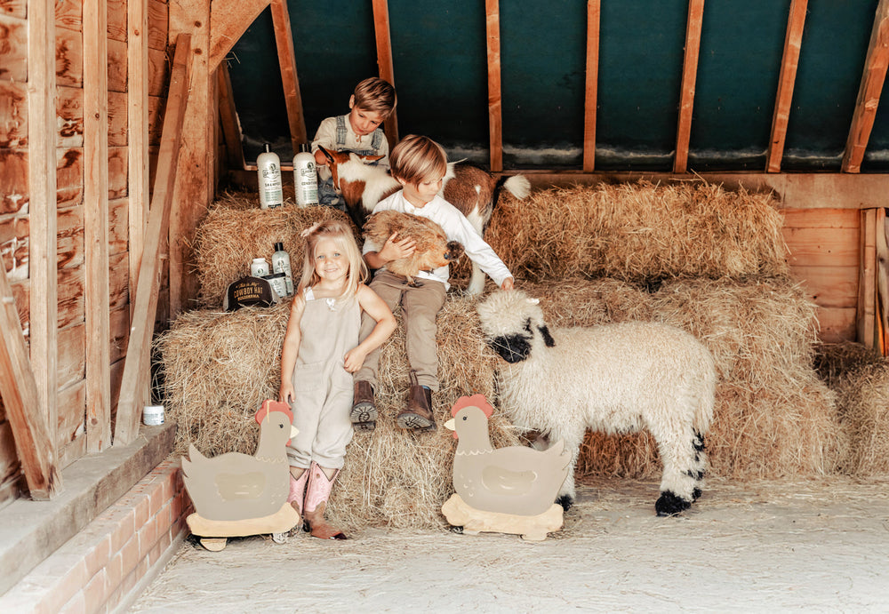 Show Off That Shine Conditioner - Equine Exchange Tack Shop