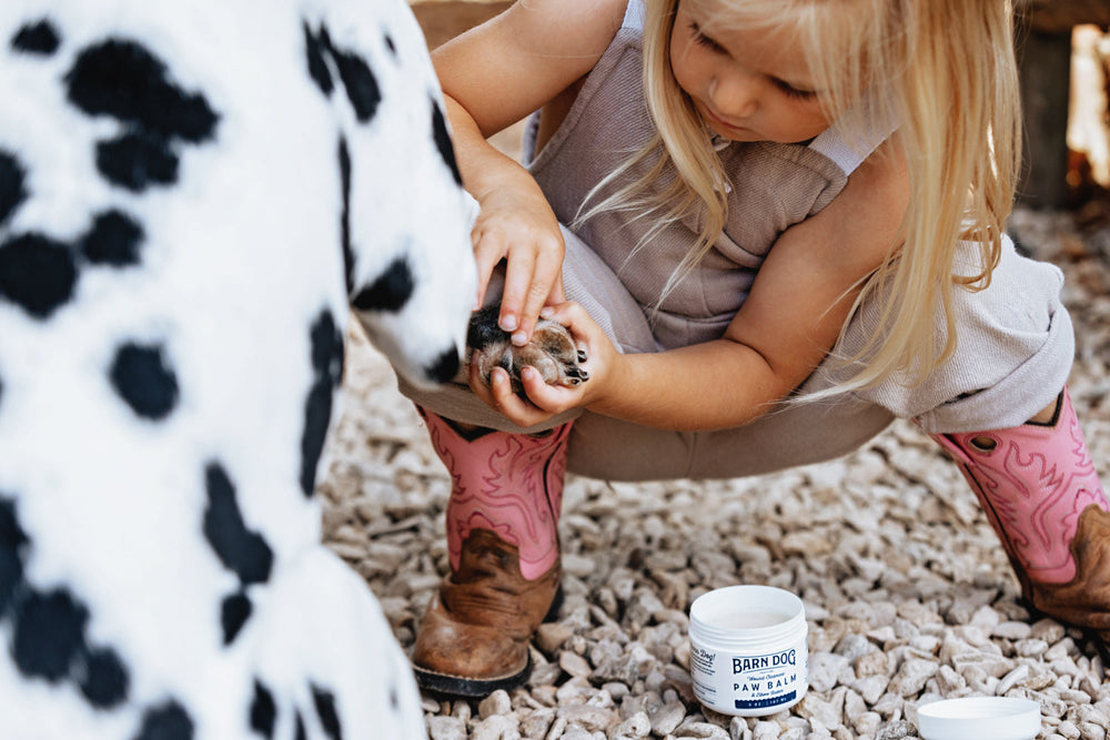 Barn Dog Paw Balm - Equine Exchange Tack Shop