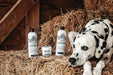Barn Dog Paw Balm - Equine Exchange Tack Shop