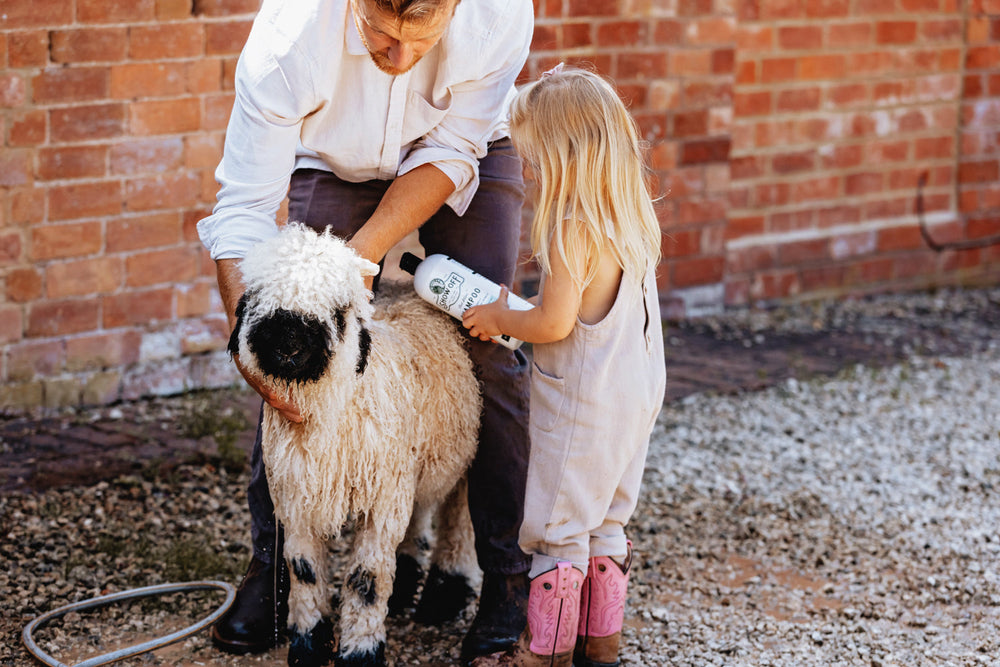 Show Off That Shine Shampoo - Equine Exchange Tack Shop
