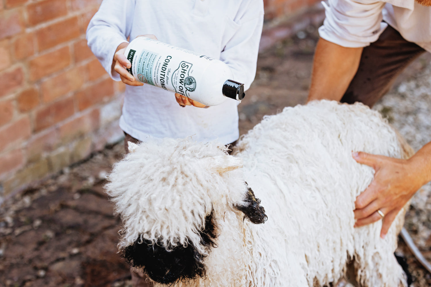 Show Off That Shine Conditioner - Equine Exchange Tack Shop