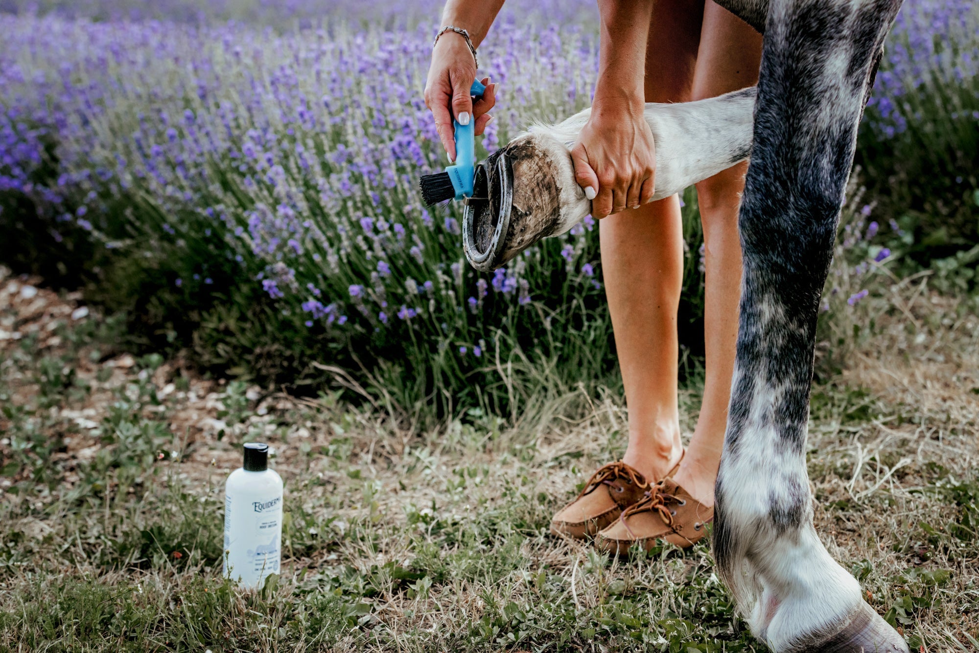 Thrush & Whiteline