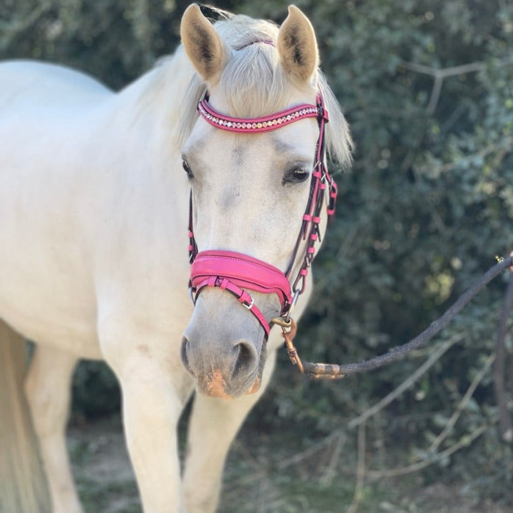 The Barbie Pink Leather Snaffle Bridle - Equine Exchange Tack Shop
