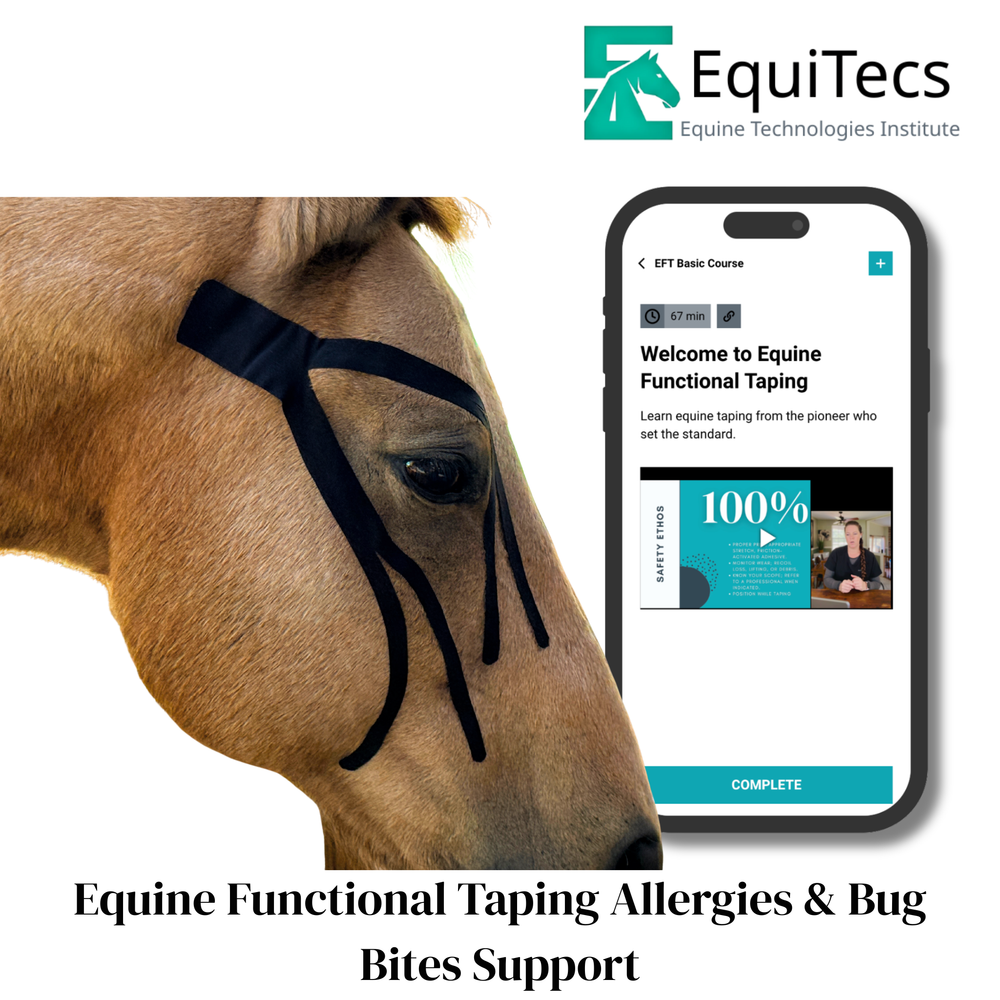 Practical Solutions À LA CARTE - Equine Exchange Tack Shop