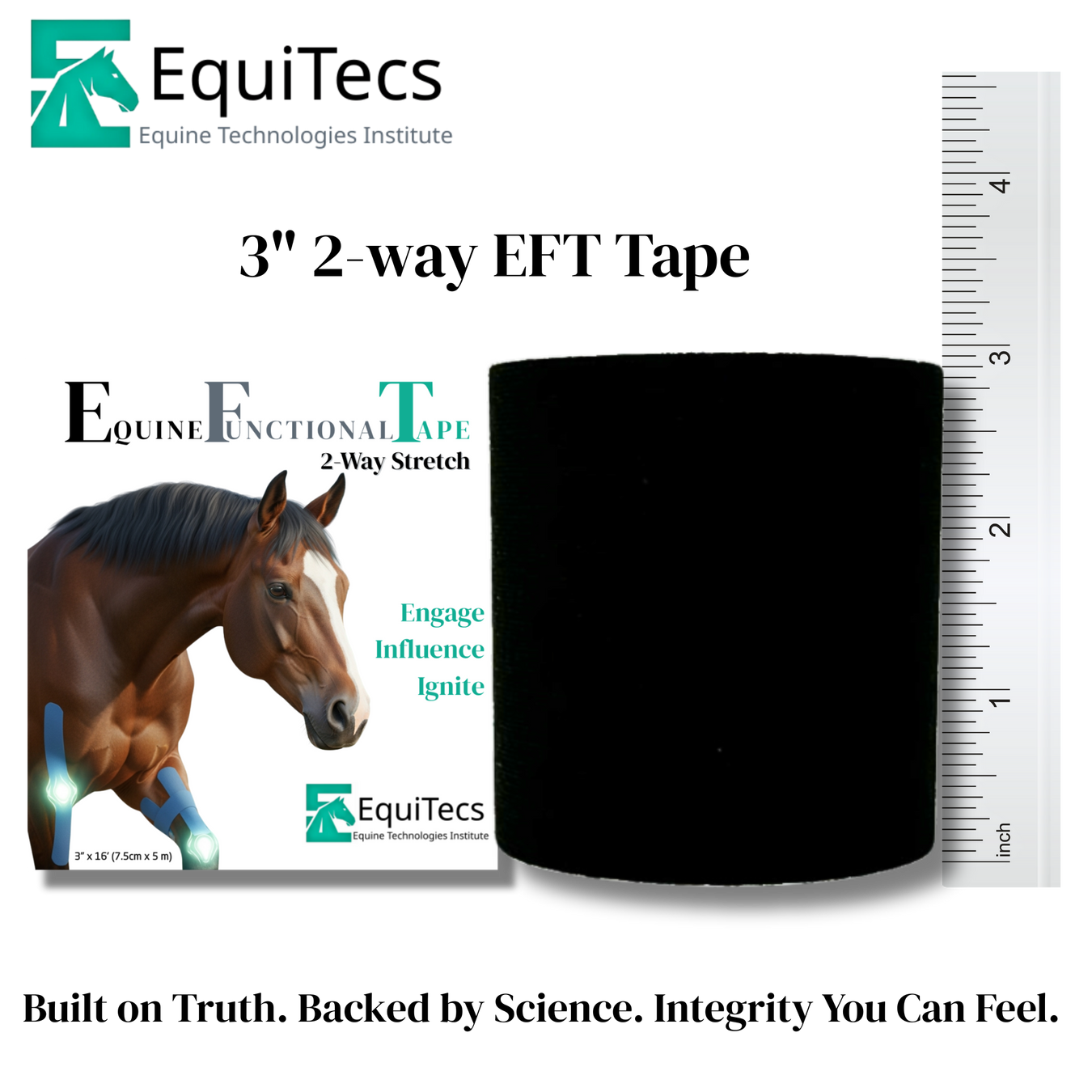 Equine Elastic Kinesiology Tape