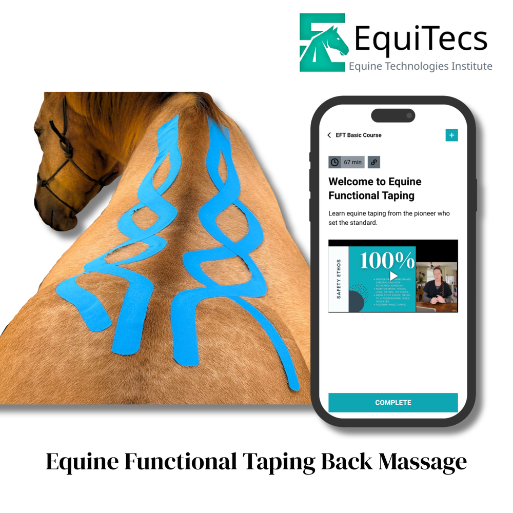 Practical Solutions À LA CARTE - Equine Exchange Tack Shop