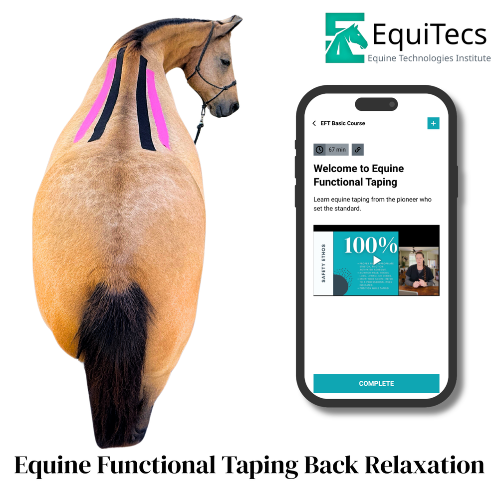 Practical Solutions À LA CARTE - Equine Exchange Tack Shop