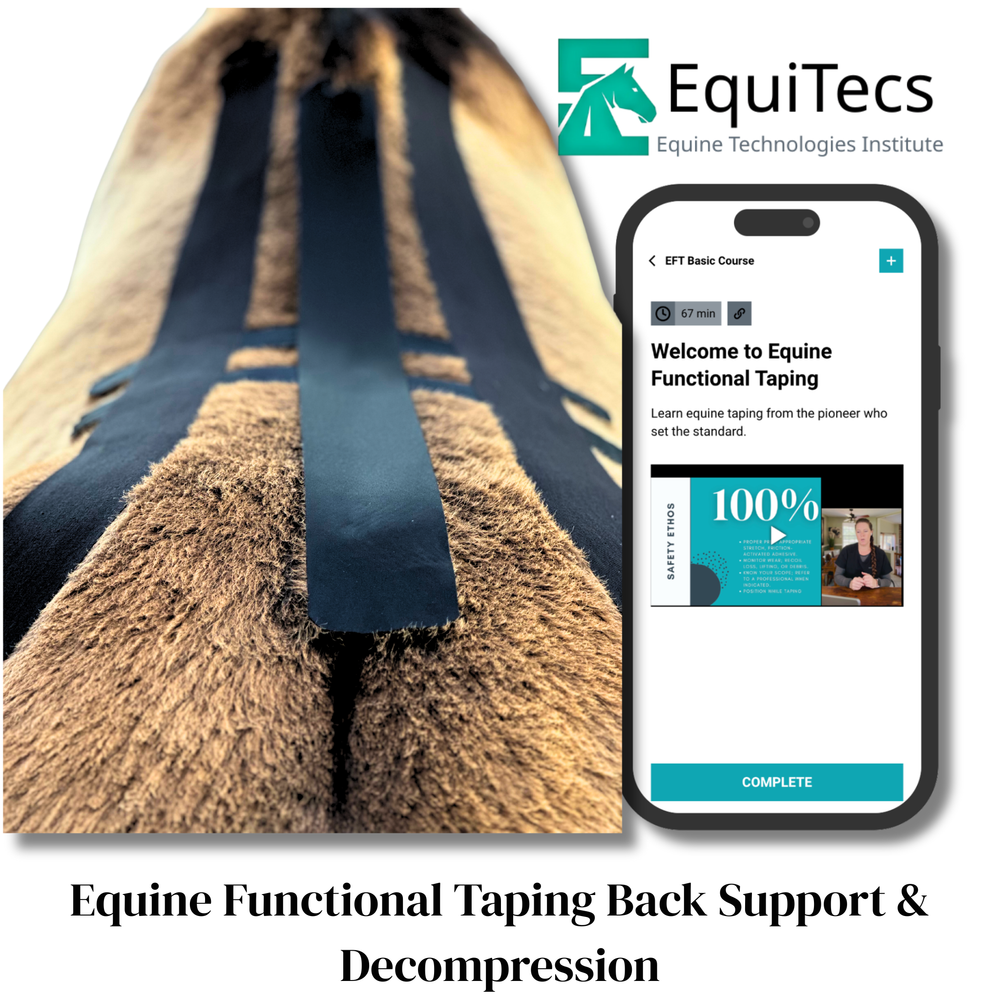 Practical Solutions À LA CARTE - Equine Exchange Tack Shop