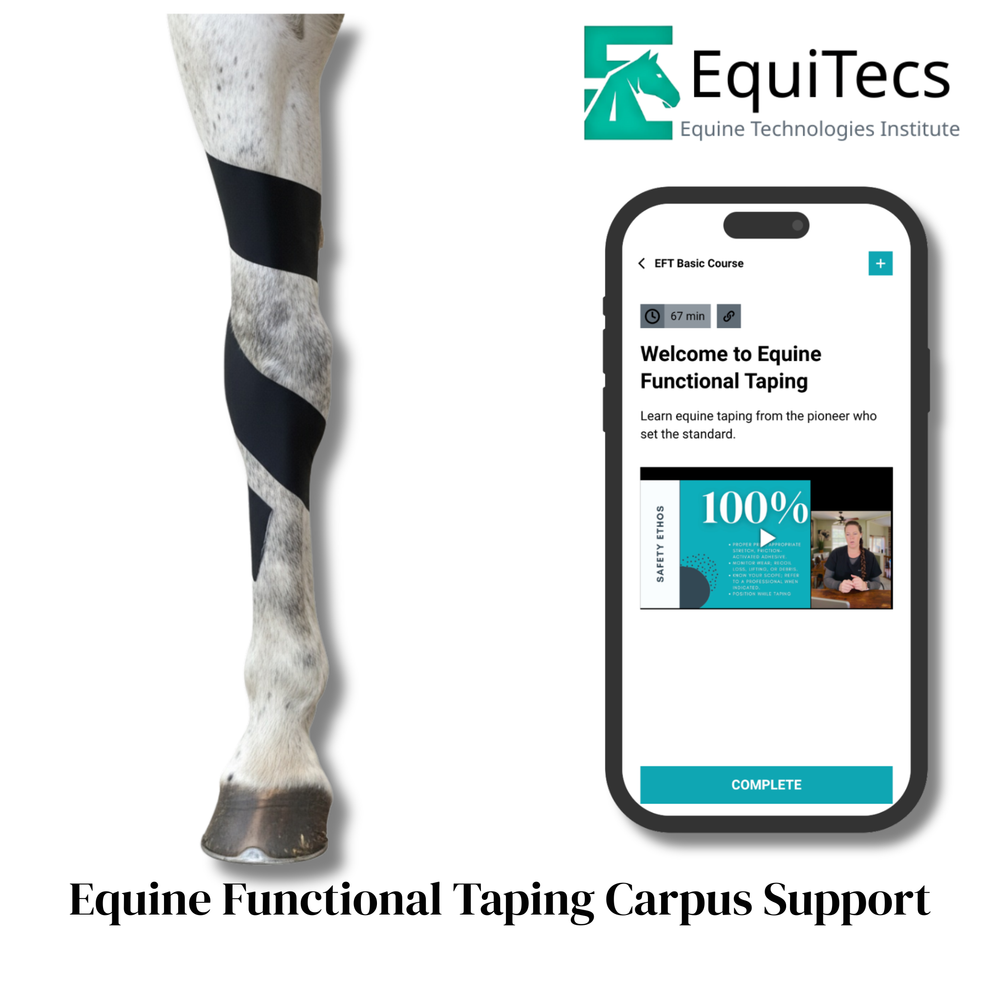 Practical Solutions À LA CARTE - Equine Exchange Tack Shop