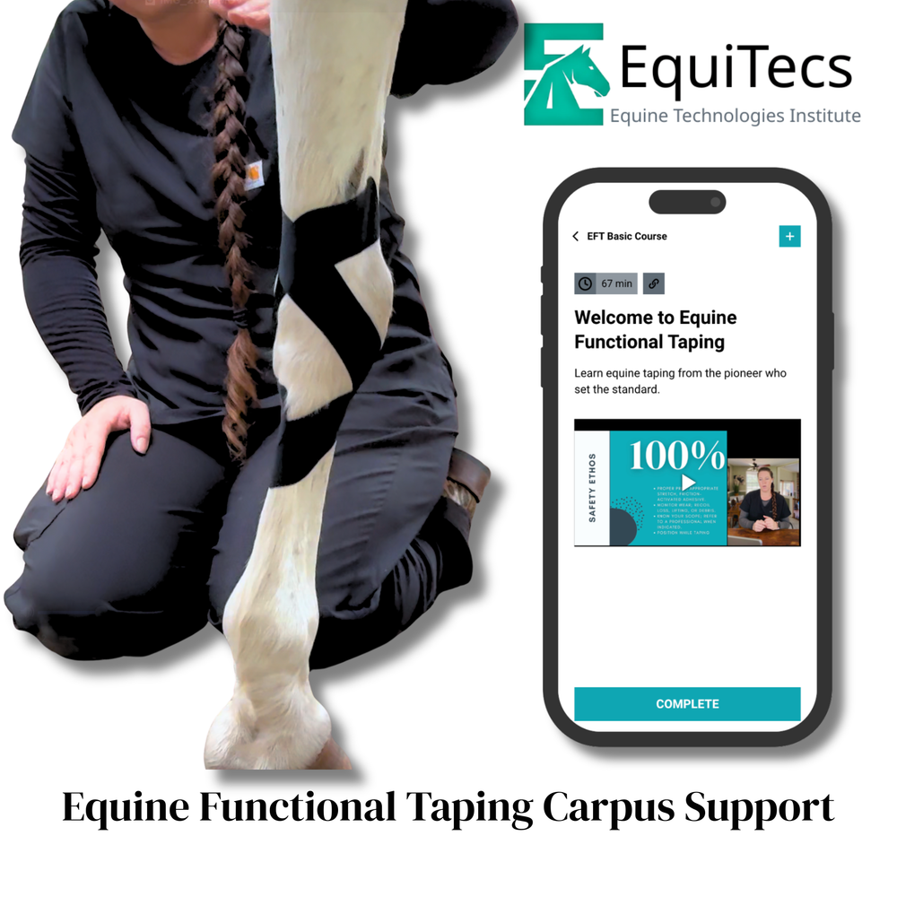 Practical Solutions À LA CARTE - Equine Exchange Tack Shop