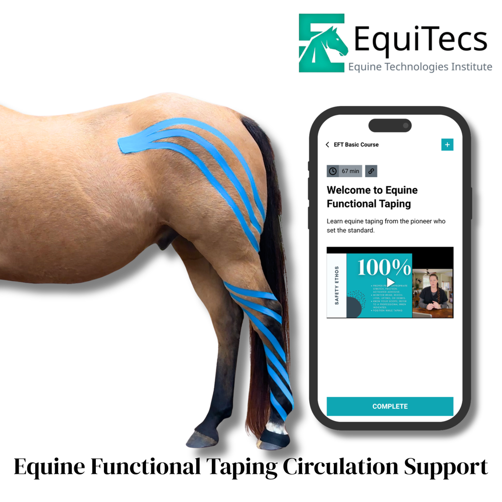 Practical Solutions À LA CARTE - Equine Exchange Tack Shop