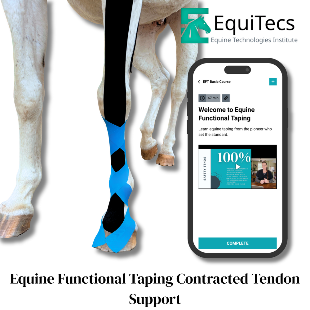 Practical Solutions À LA CARTE - Equine Exchange Tack Shop