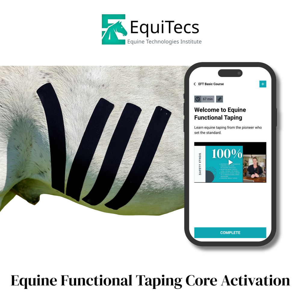 Practical Solutions À LA CARTE - Equine Exchange Tack Shop