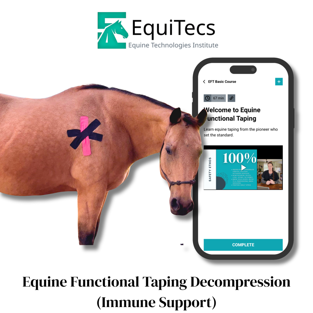 Practical Solutions À LA CARTE - Equine Exchange Tack Shop