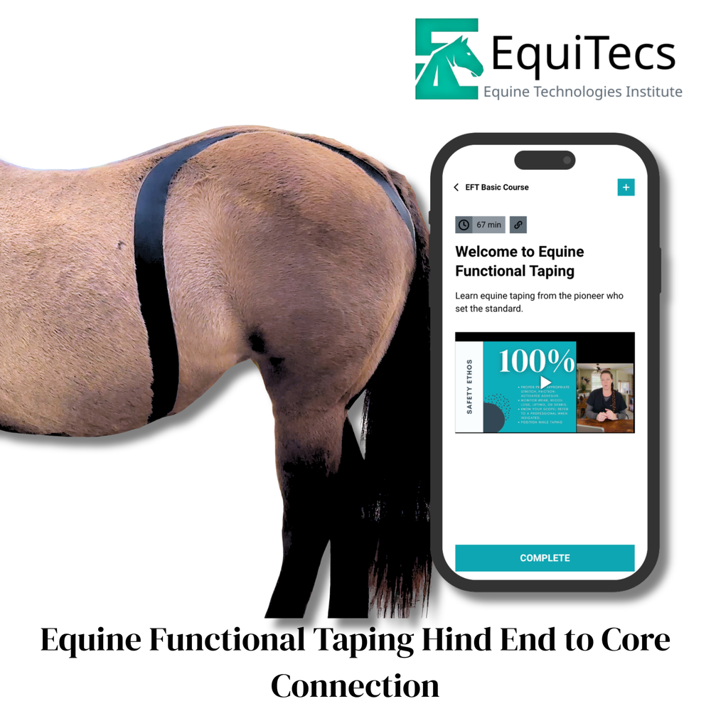 Practical Solutions À LA CARTE - Equine Exchange Tack Shop