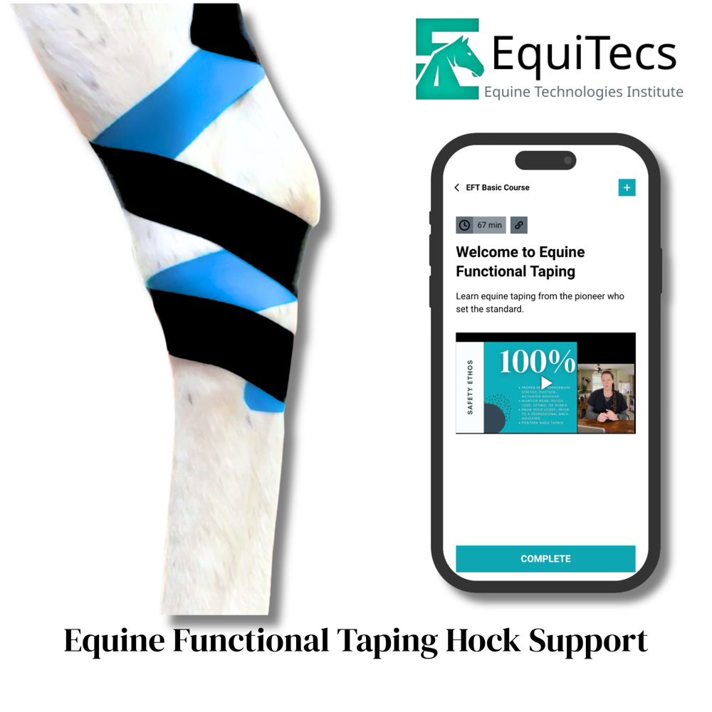 Practical Solutions À LA CARTE - Equine Exchange Tack Shop