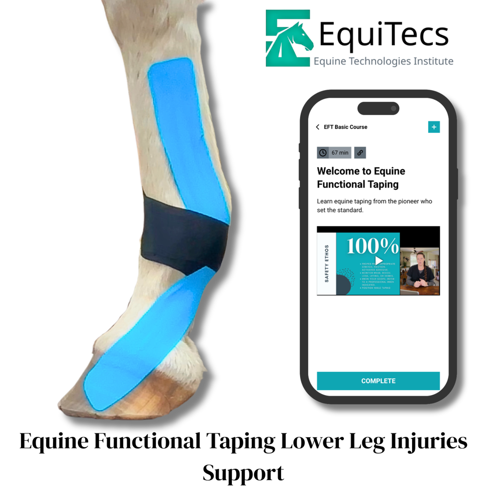 Practical Solutions À LA CARTE - Equine Exchange Tack Shop