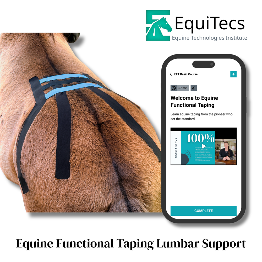 Practical Solutions À LA CARTE - Equine Exchange Tack Shop