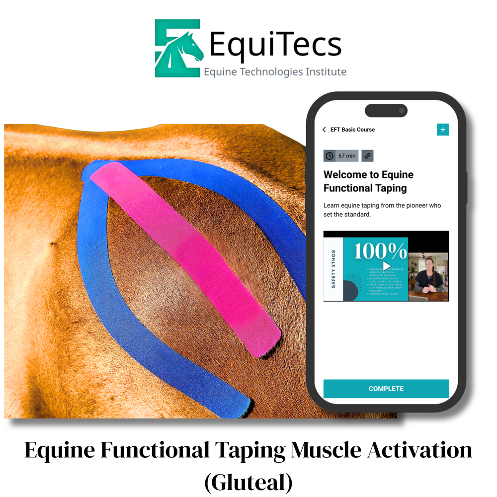 Practical Solutions À LA CARTE - Equine Exchange Tack Shop