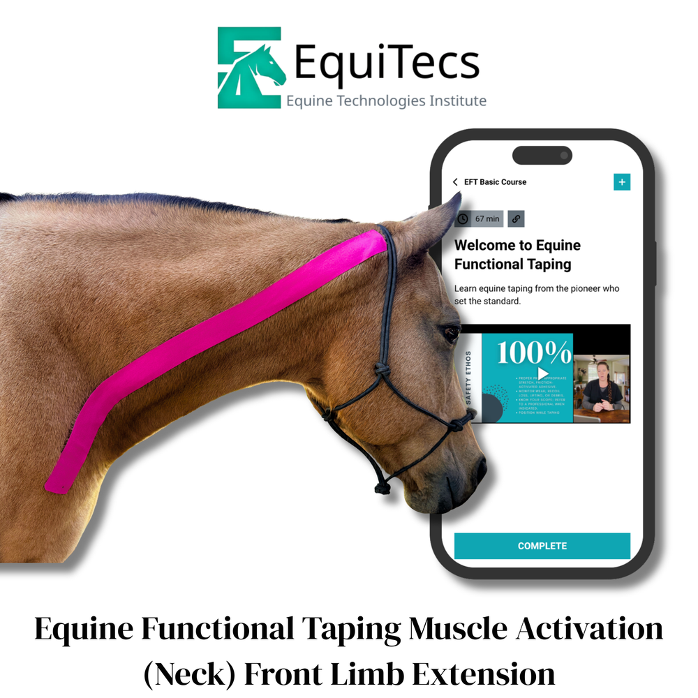 Practical Solutions À LA CARTE - Equine Exchange Tack Shop