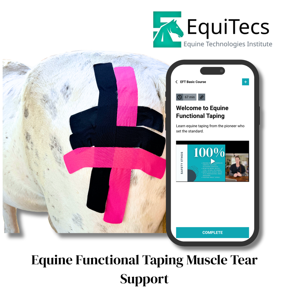Practical Solutions À LA CARTE - Equine Exchange Tack Shop