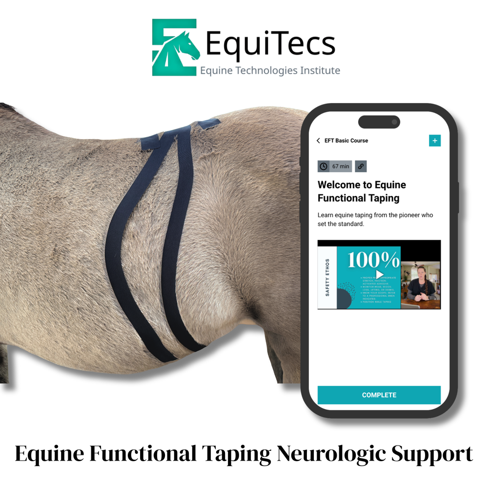 Practical Solutions À LA CARTE - Equine Exchange Tack Shop