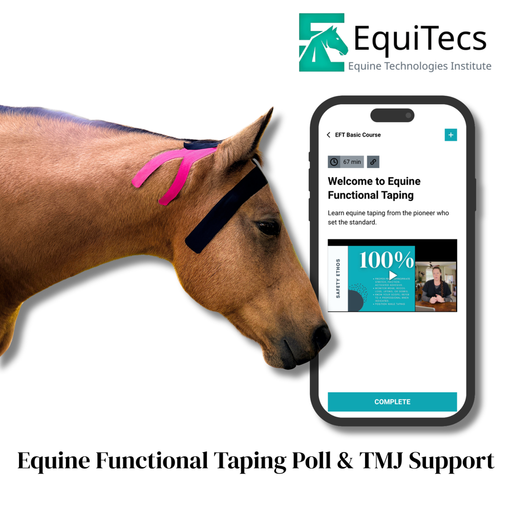 Practical Solutions À LA CARTE - Equine Exchange Tack Shop