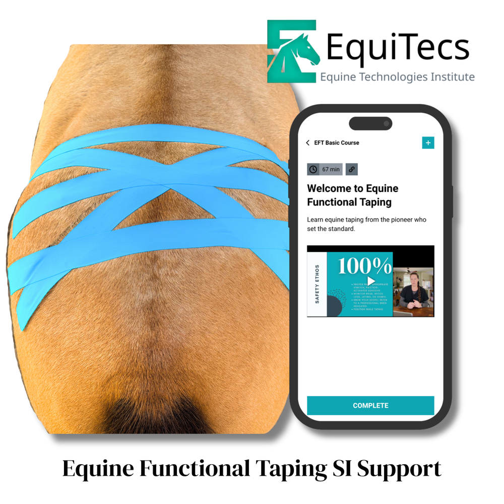 Practical Solutions À LA CARTE - Equine Exchange Tack Shop