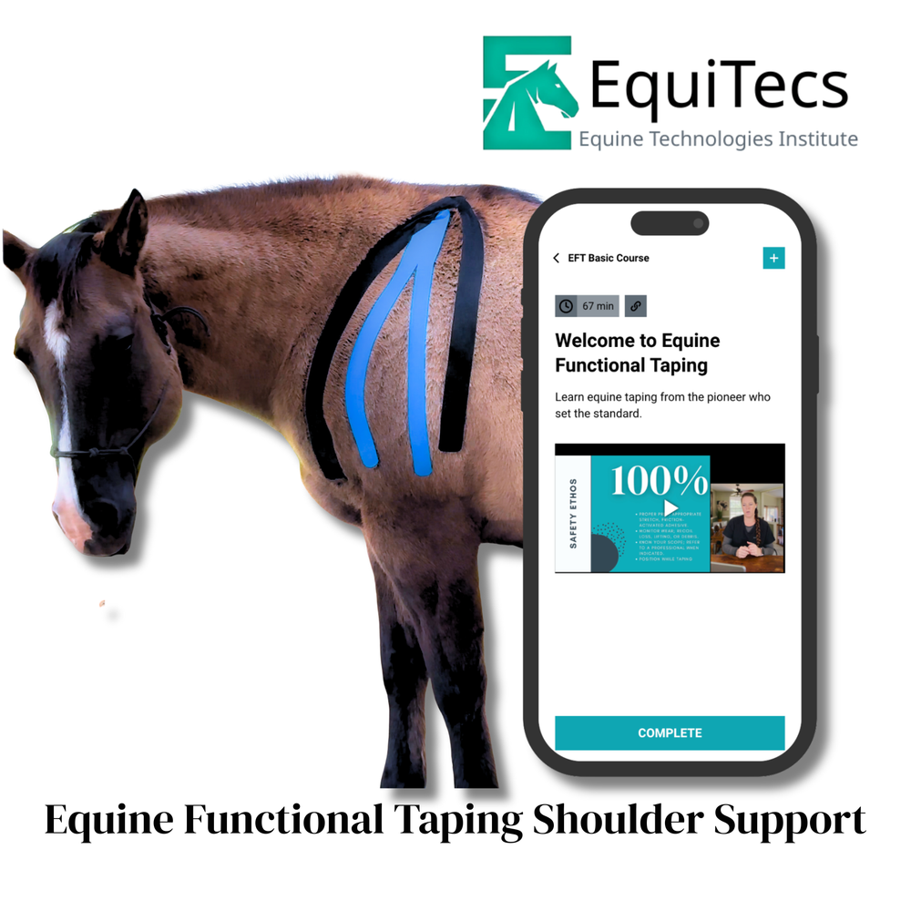 Practical Solutions À LA CARTE - Equine Exchange Tack Shop