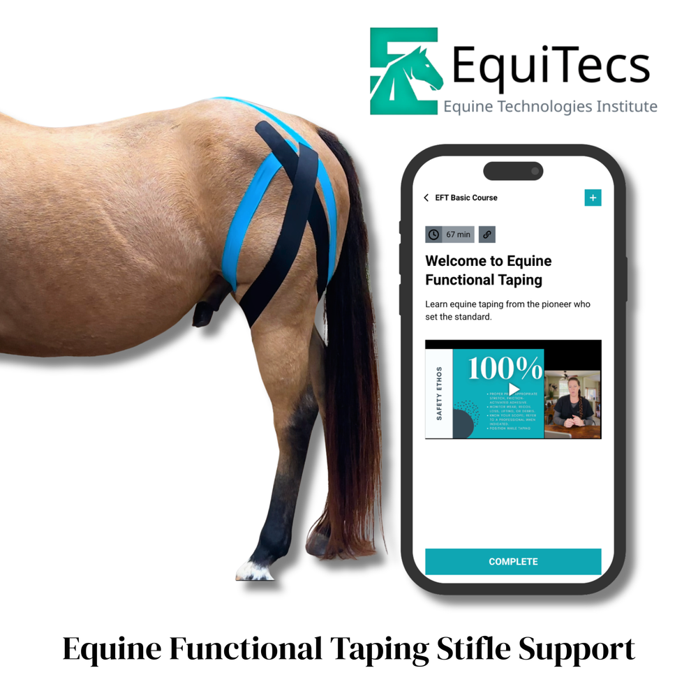 Practical Solutions À LA CARTE - Equine Exchange Tack Shop