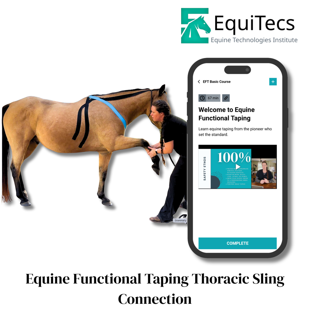 Practical Solutions À LA CARTE - Equine Exchange Tack Shop