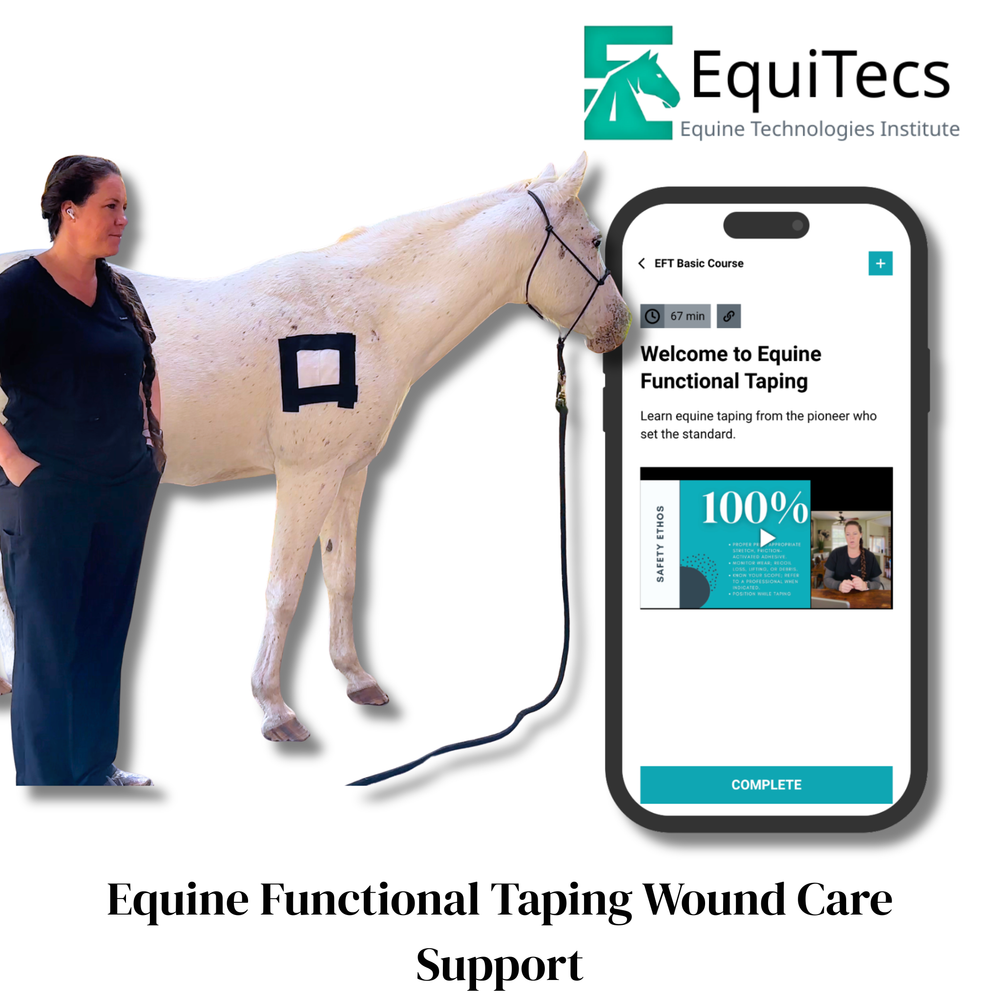 Practical Solutions À LA CARTE - Equine Exchange Tack Shop
