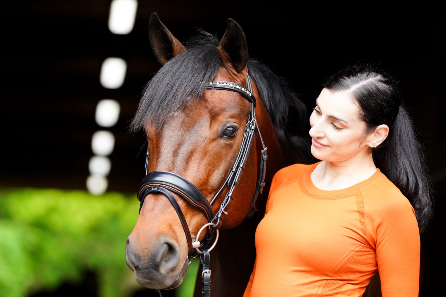 KL Select Elite Dressage Bridle