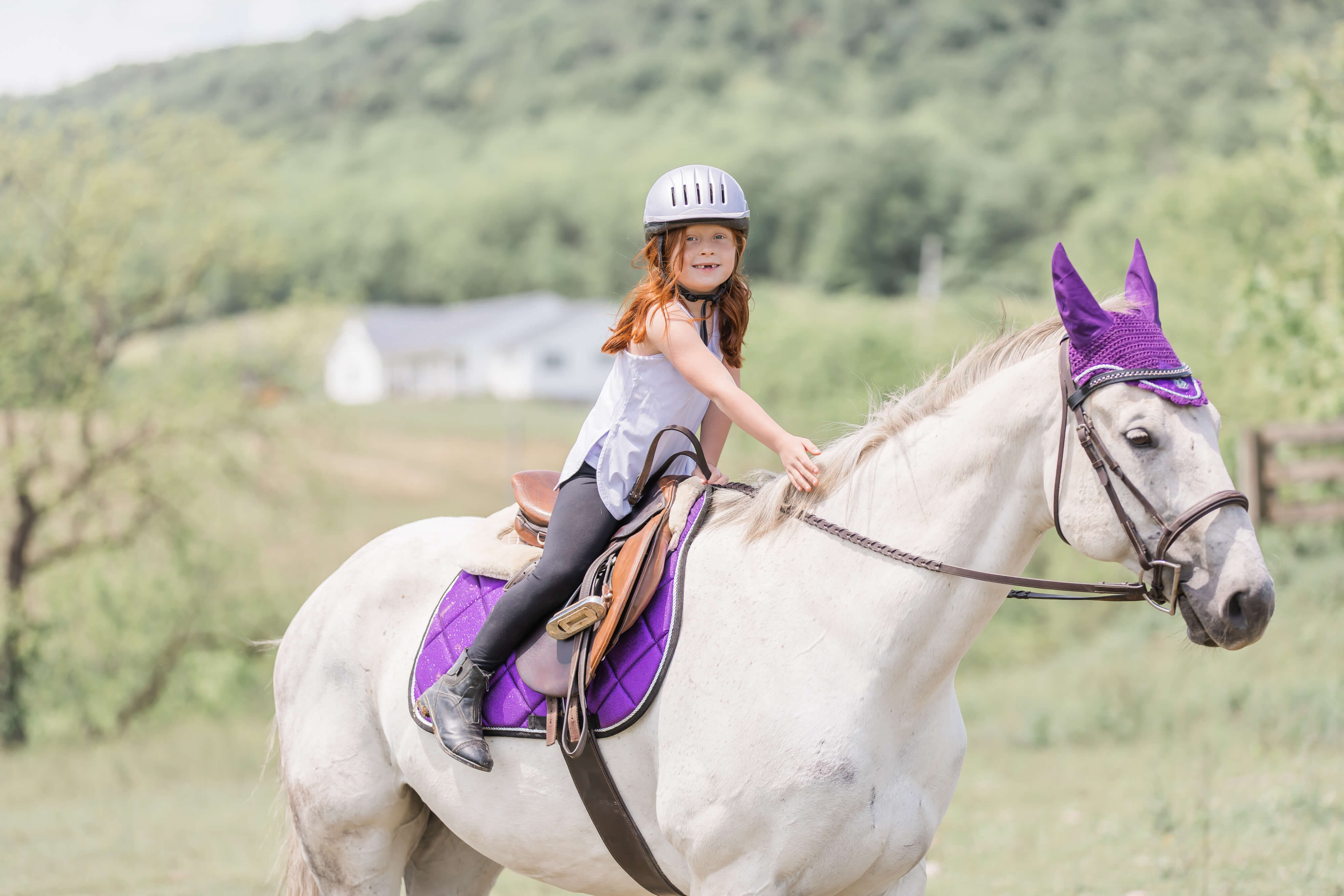 Purple Amethyst Saddle Pad Set