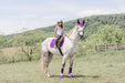 Purple Amethyst Bell Boots - Equine Exchange Tack Shop