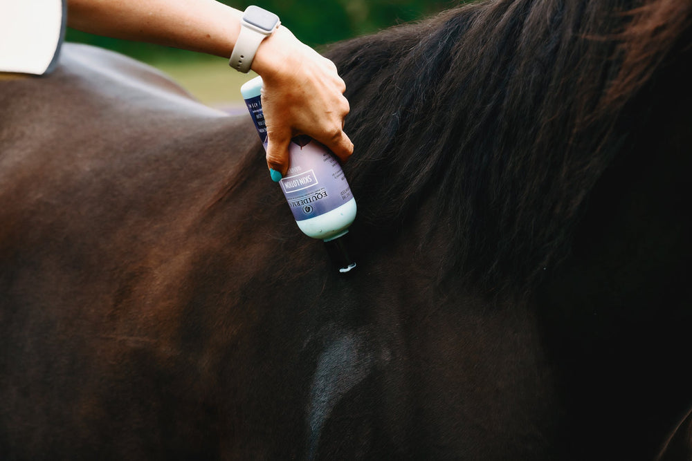 Skin Lotion - Equine Exchange Tack Shop