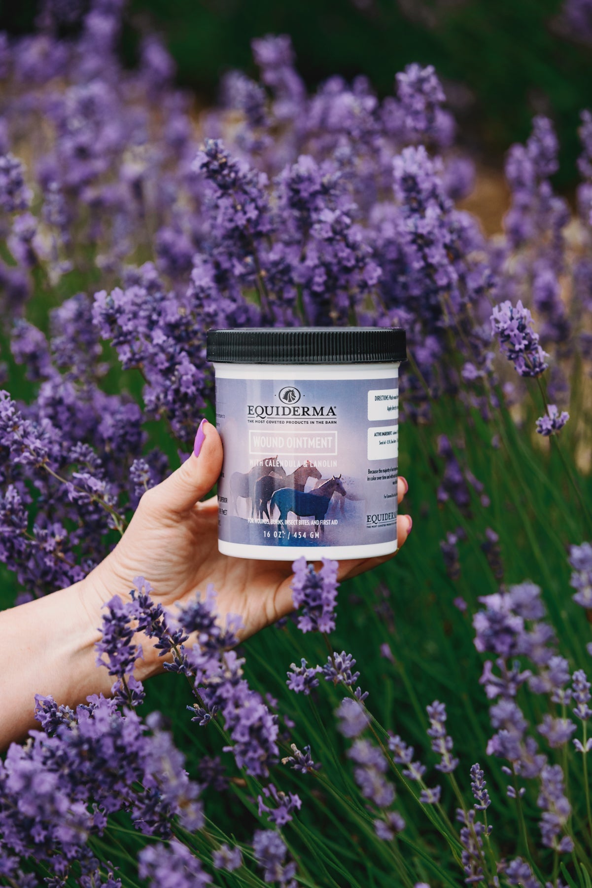 Wound Ointment - Equine Exchange Tack Shop
