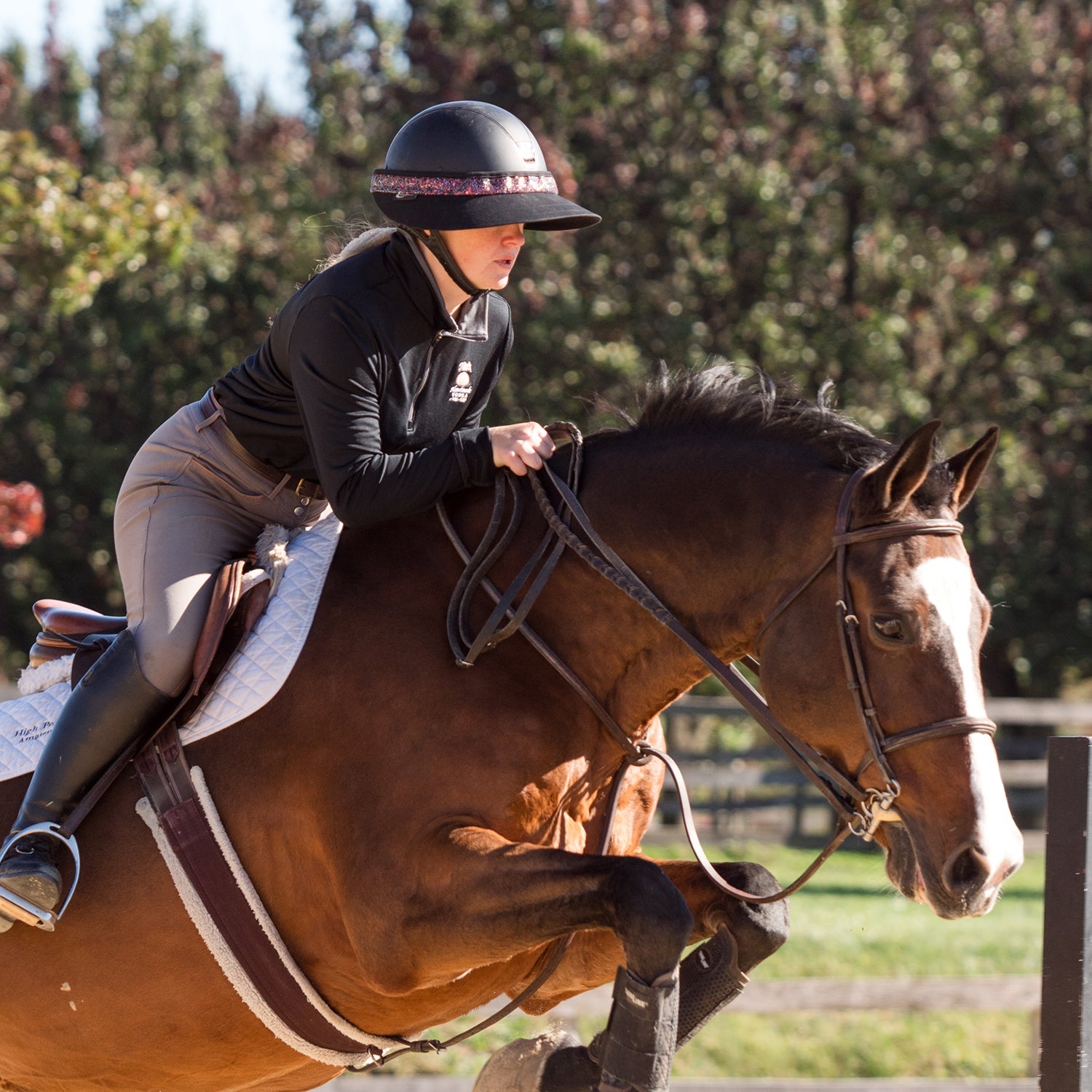 NEW EquiVisor® Original Shorty 3" Glitz