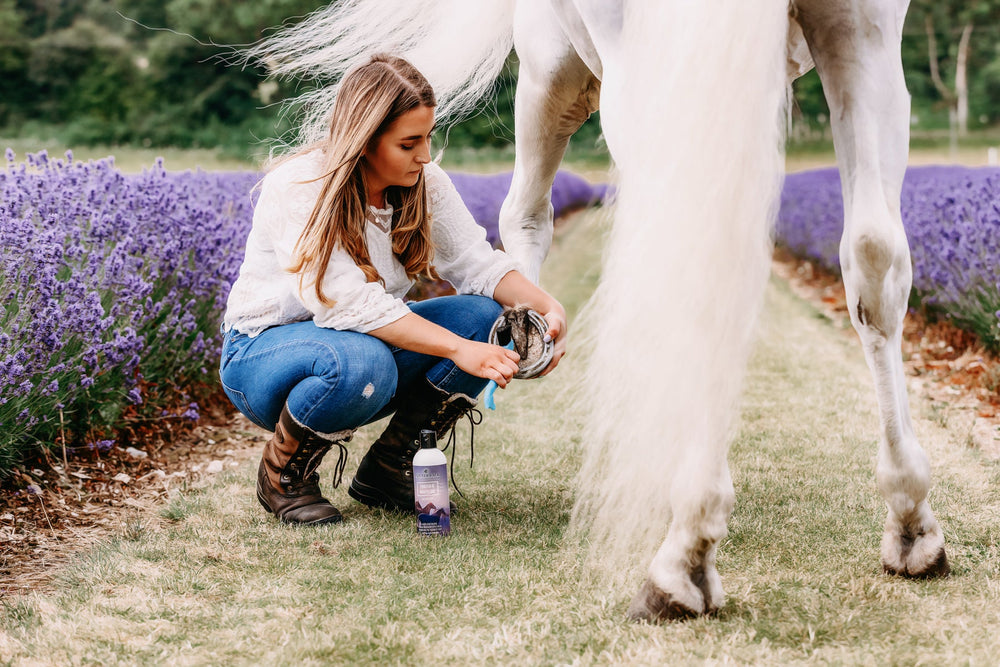 Thrush & Whiteline - Equine Exchange Tack Shop