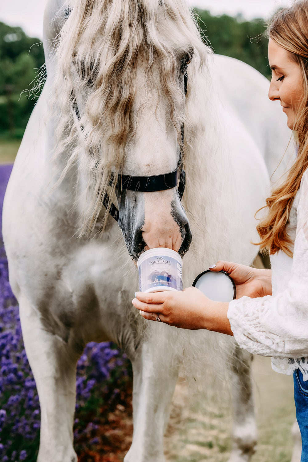 Wound Ointment - Equine Exchange Tack Shop