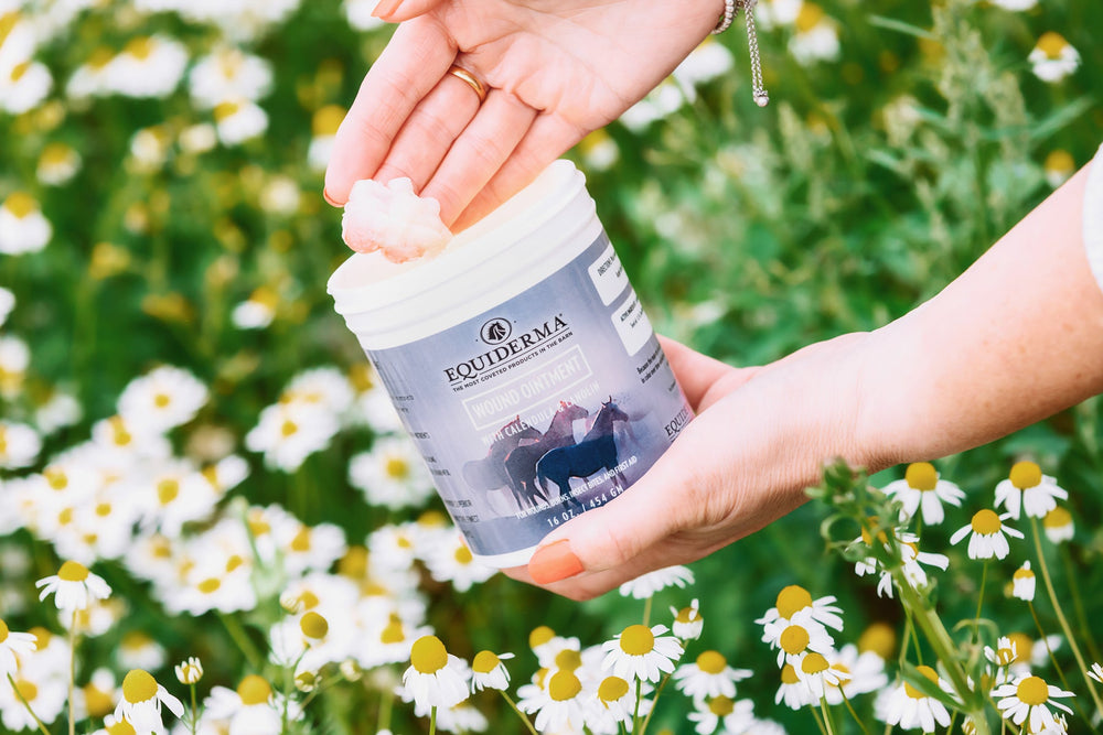 Wound Ointment - Equine Exchange Tack Shop