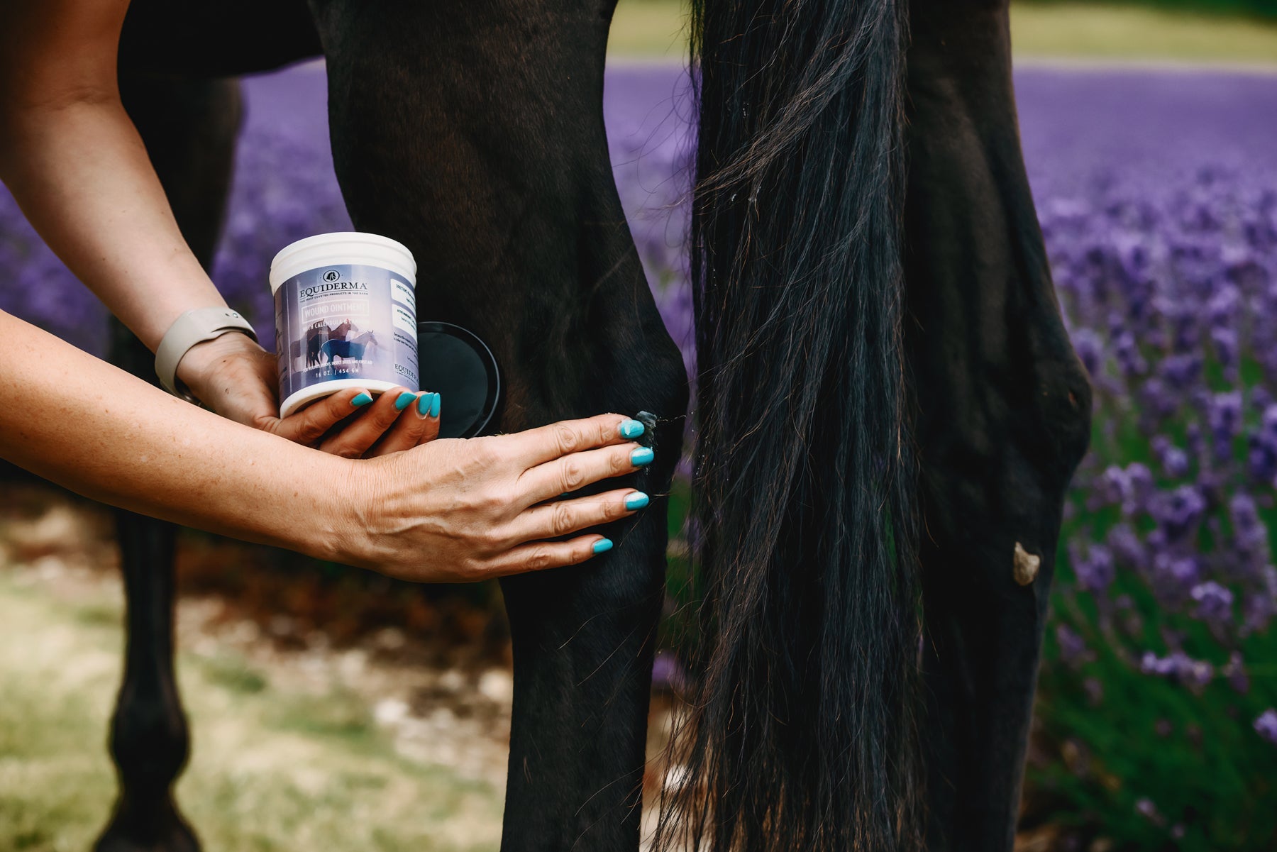 Wound Ointment - Equine Exchange Tack Shop