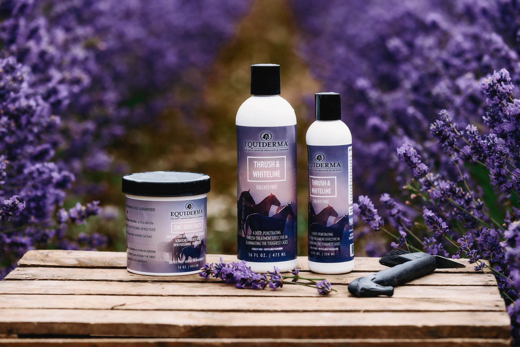 Zinc Paste for Scratches - Equine Exchange Tack Shop