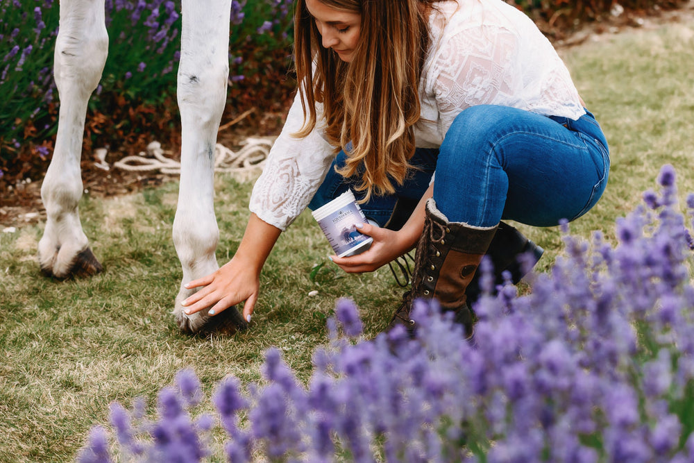 Zinc Paste for Scratches - Equine Exchange Tack Shop