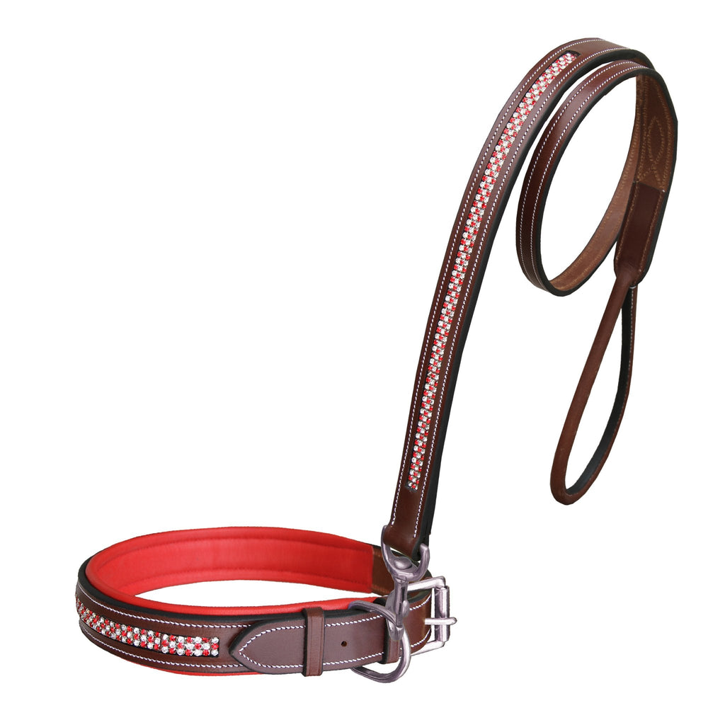 ExionPro Red Bling Padded Dog Collar With Dog Leash - Equine Exchange Tack Shop