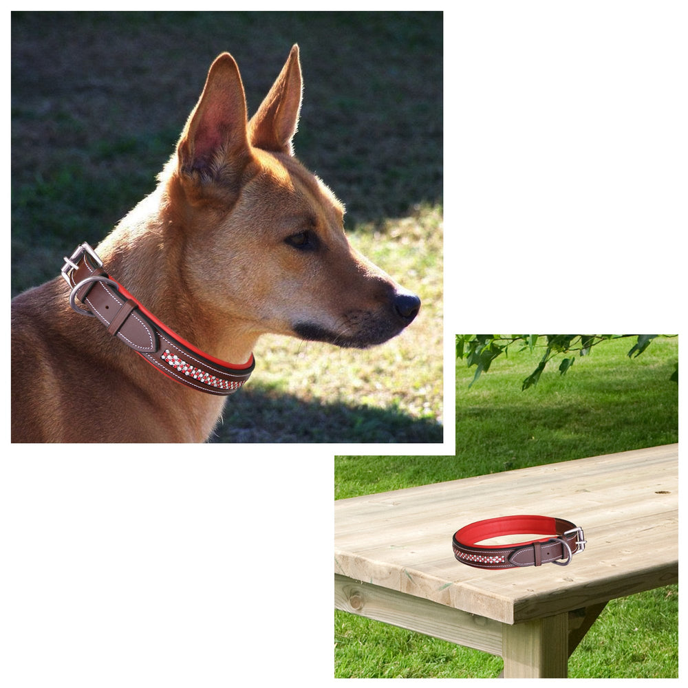 ExionPro Red Bling Padded Dog Collar With Dog Leash - Equine Exchange Tack Shop