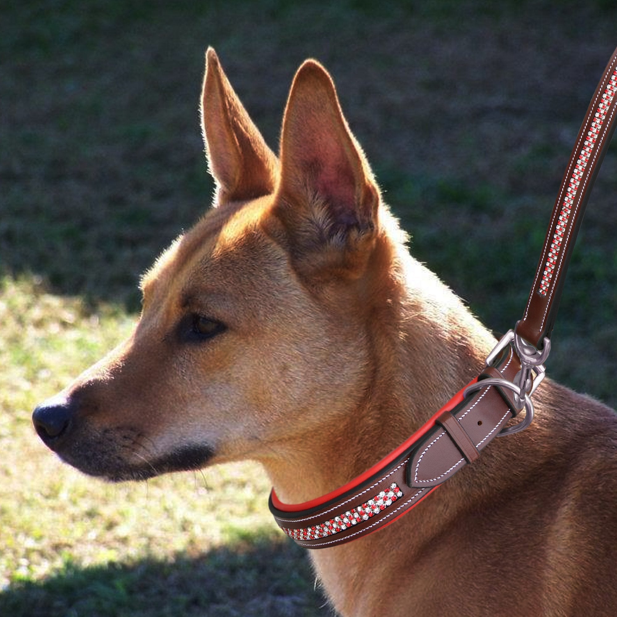 ExionPro Red Bling Padded Dog Collar With Dog Leash - Equine Exchange Tack Shop
