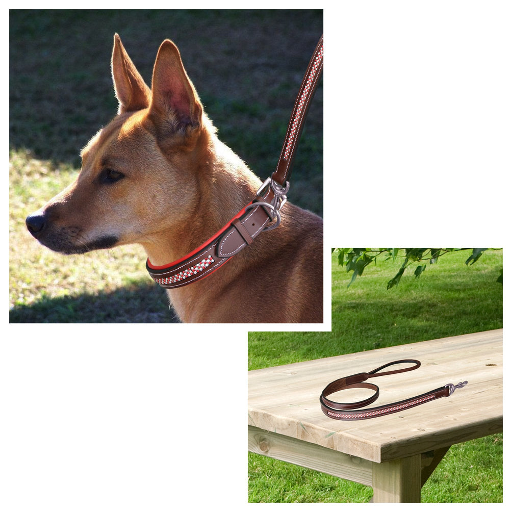 ExionPro Red Bling Padded Dog Collar With Dog Leash - Equine Exchange Tack Shop